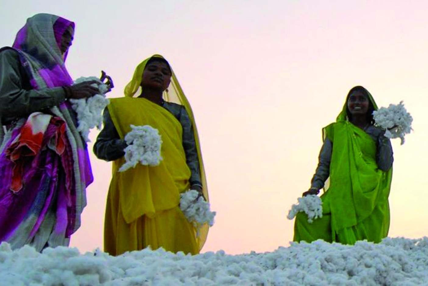 The ethics of cotton production Ethical Consumer